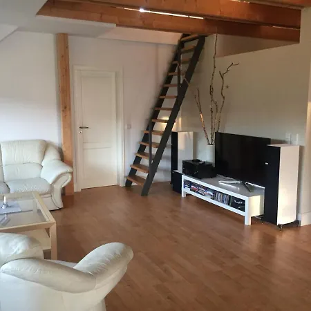 Ferienwohnung Trede Kurort Gohrisch Exterior photo